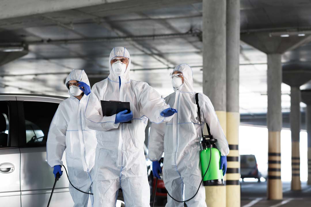 primax-pest-control-company